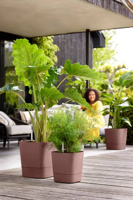 greensense aqua care carré 38cm brun argile